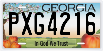 GA license plate PXG4216