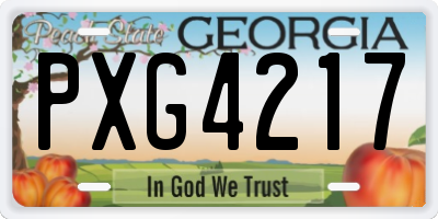 GA license plate PXG4217