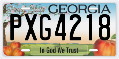 GA license plate PXG4218
