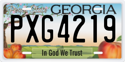 GA license plate PXG4219