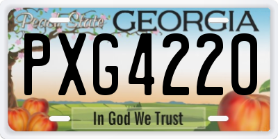 GA license plate PXG4220