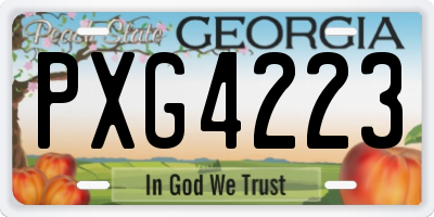 GA license plate PXG4223