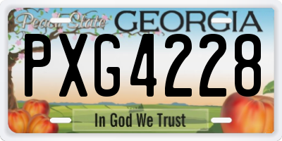 GA license plate PXG4228