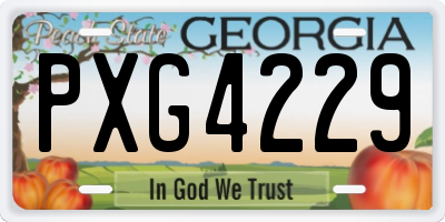 GA license plate PXG4229