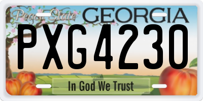 GA license plate PXG4230