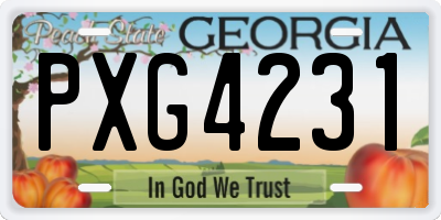 GA license plate PXG4231