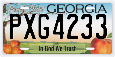 GA license plate PXG4233