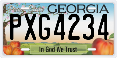 GA license plate PXG4234