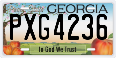GA license plate PXG4236