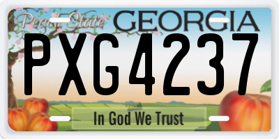 GA license plate PXG4237