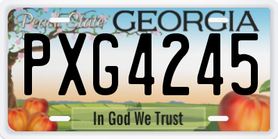 GA license plate PXG4245