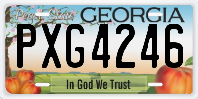 GA license plate PXG4246