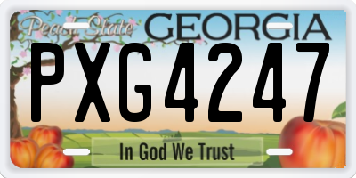 GA license plate PXG4247