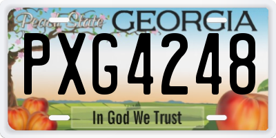 GA license plate PXG4248