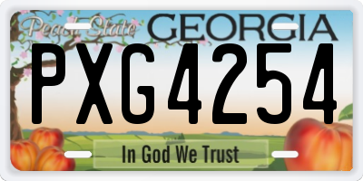 GA license plate PXG4254