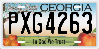 GA license plate PXG4263