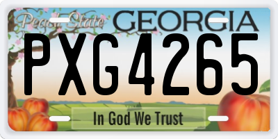 GA license plate PXG4265