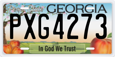 GA license plate PXG4273
