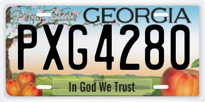 GA license plate PXG4280