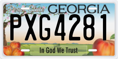 GA license plate PXG4281