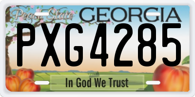 GA license plate PXG4285
