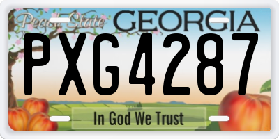 GA license plate PXG4287