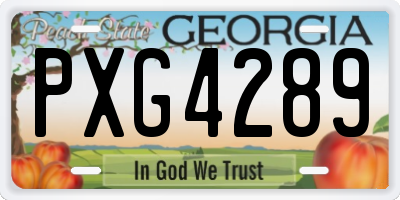 GA license plate PXG4289