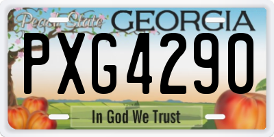GA license plate PXG4290