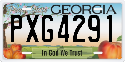 GA license plate PXG4291