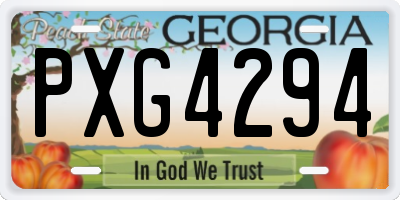 GA license plate PXG4294