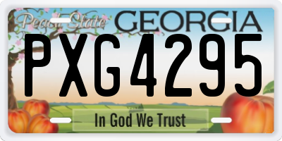 GA license plate PXG4295