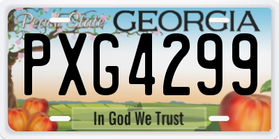 GA license plate PXG4299
