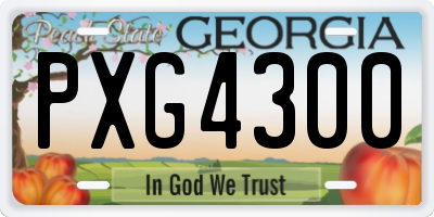 GA license plate PXG4300