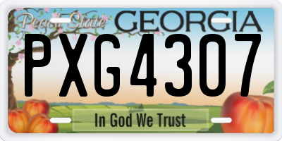 GA license plate PXG4307