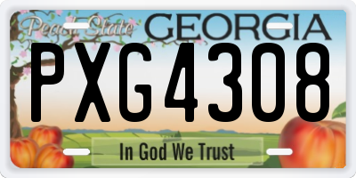 GA license plate PXG4308