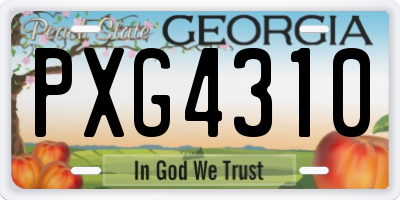 GA license plate PXG4310