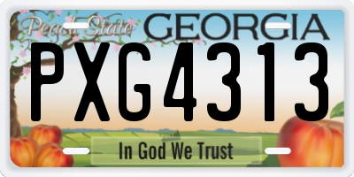 GA license plate PXG4313