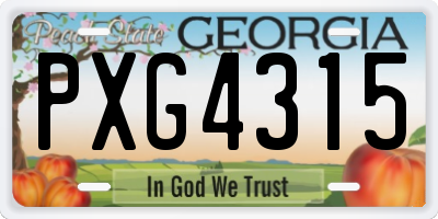 GA license plate PXG4315