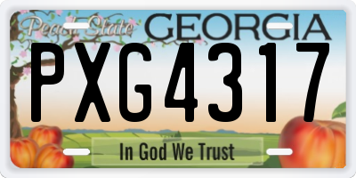 GA license plate PXG4317