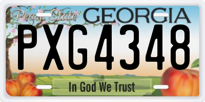 GA license plate PXG4348