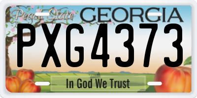 GA license plate PXG4373