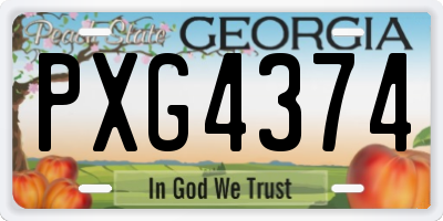 GA license plate PXG4374