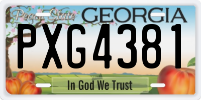 GA license plate PXG4381
