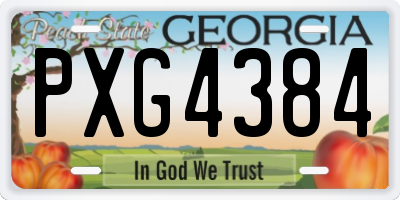 GA license plate PXG4384