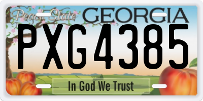 GA license plate PXG4385