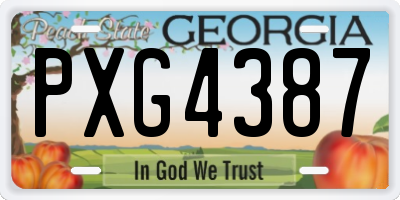 GA license plate PXG4387