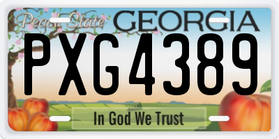 GA license plate PXG4389