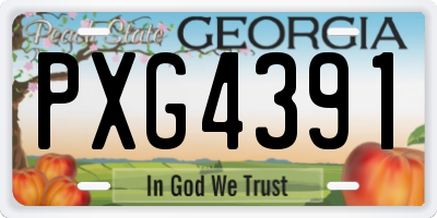 GA license plate PXG4391