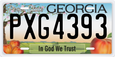 GA license plate PXG4393