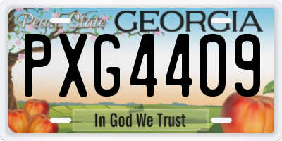 GA license plate PXG4409